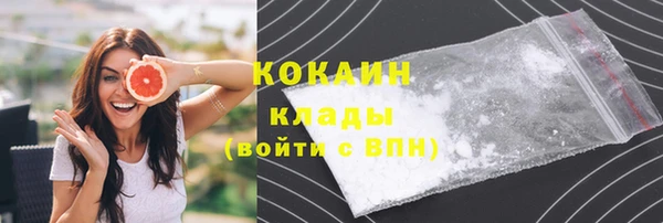 хмурый Алзамай